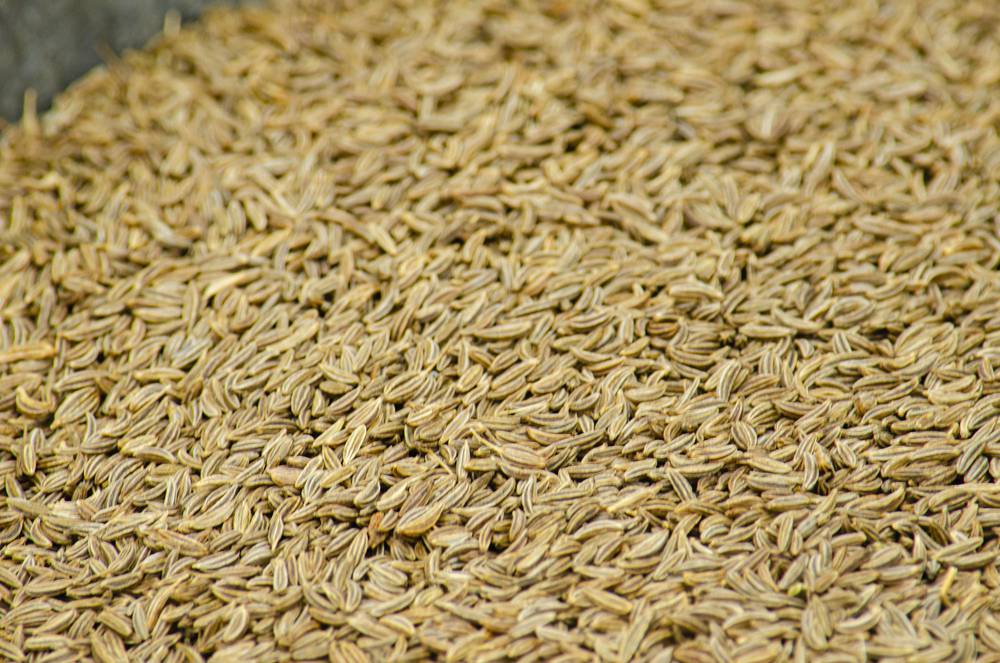 Cumin Seeds | Molino Zombini