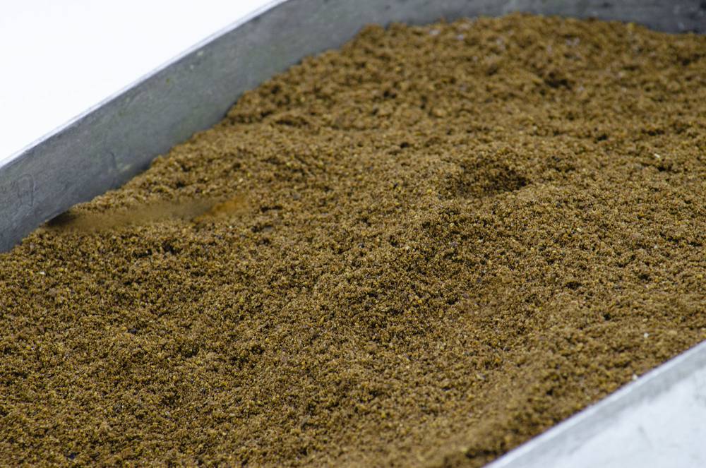 generico crisalide macinata Farina additivo ingrediente pastura Carpa