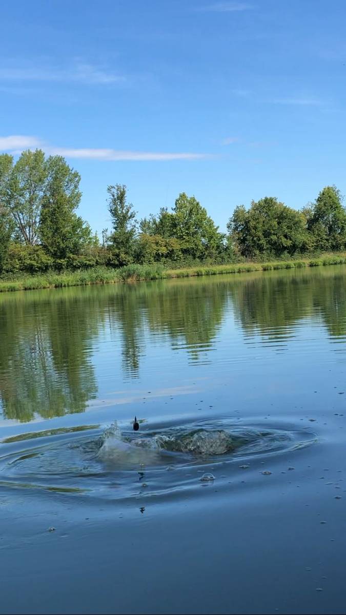 Preparazione della pastura per la pesca a feeder