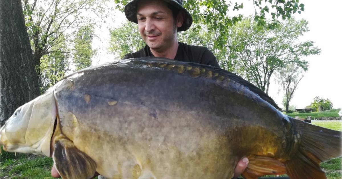 Nuova Pasta Venere® Penne - Riso Scotti SPA - Foto 4